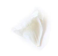 petal4