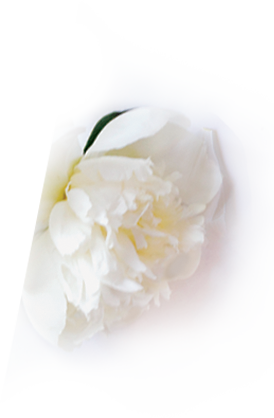 left peony